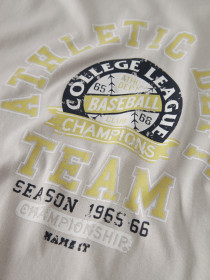 NAME IT T-shirt Vilogo Pumice Stone Team